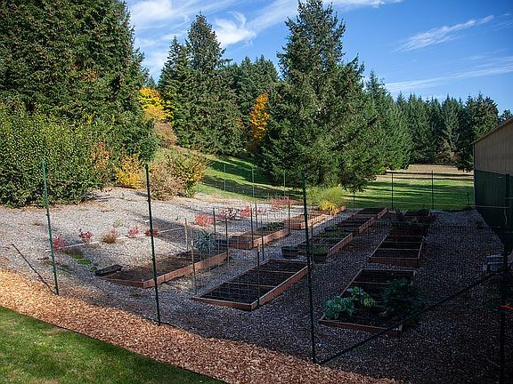 Garden and Fruit Trees
