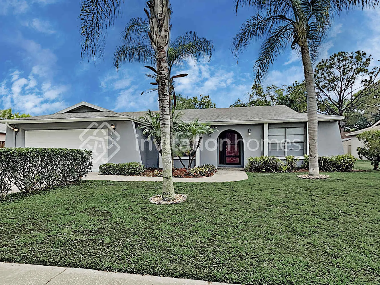 414 Tangerine Dr Oldsmar, FL 34677 — Photo 1