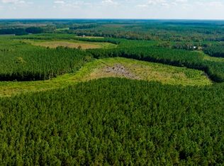 0 Hudsons Ferry Rd, Newington, GA 30446