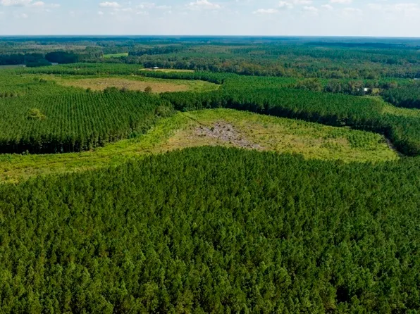 0 Hudsons Ferry Rd, Newington, GA 30446