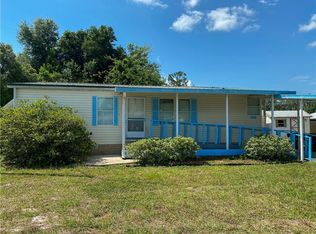 1319 County Road 461, Lake Panasoffkee, FL 33538
