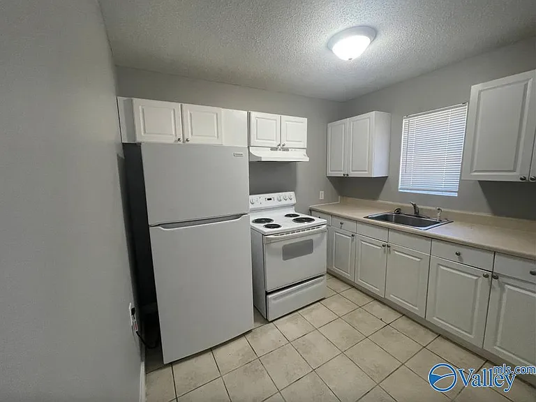 425 W Tennessee St #O — Photo 4