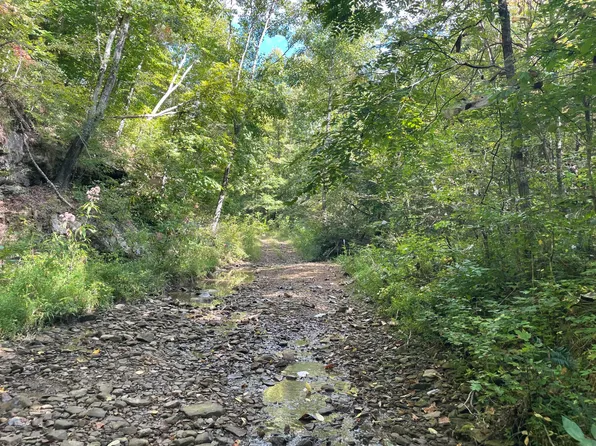 9999 Jones Fork Rd #157-00-016.00, Barbourville, KY 40906