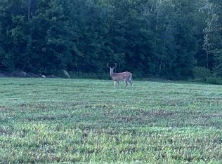 Map 7 Lot 1, 298 Battle Street, Webster, NH 03303