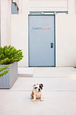 Sold by Canco Lofts Sales Center | media 8