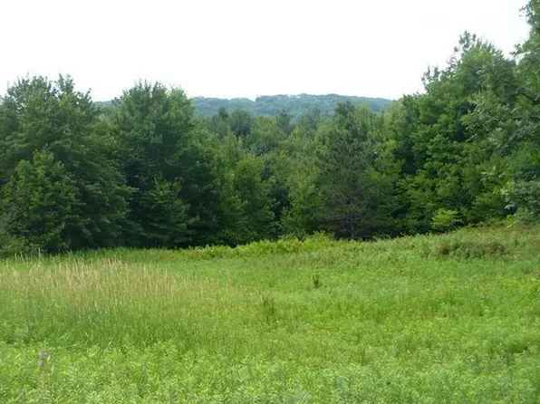 Sec 9 GORMAN AVENUE, Willard, WI 54493