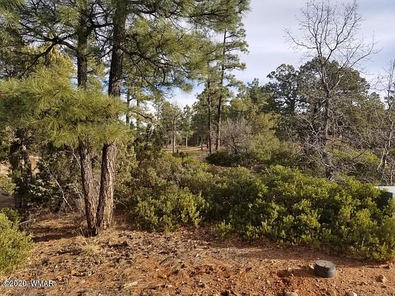 5th image of 4480 W Shaggy Bark Rd