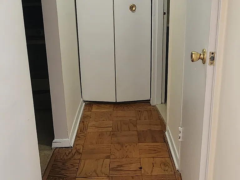 Hallway with huge walk-in closet and pantry closet.