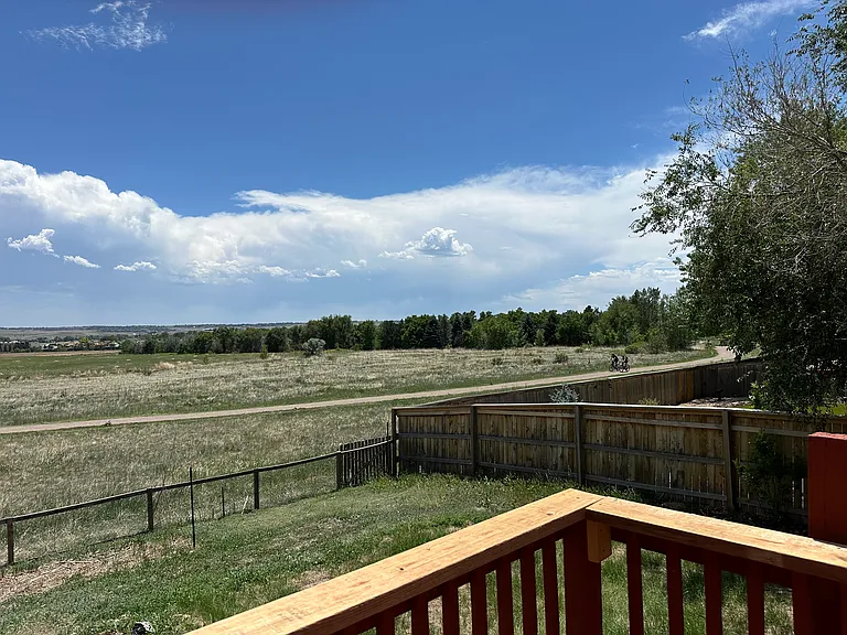 on open space / large fenced yard