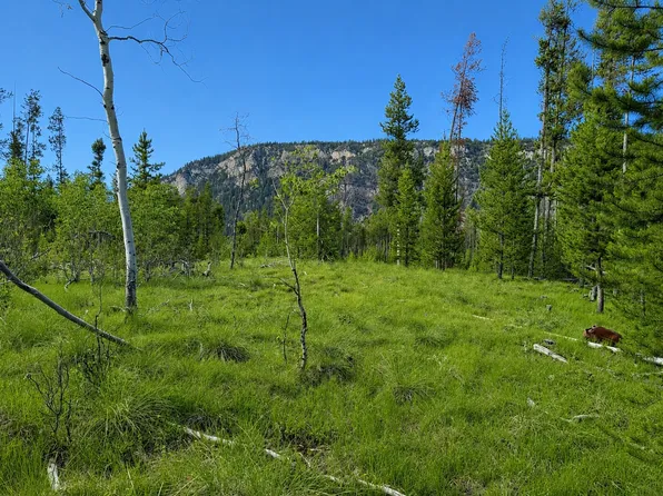 26 Mitchell Ln, Anaconda, MT 59711