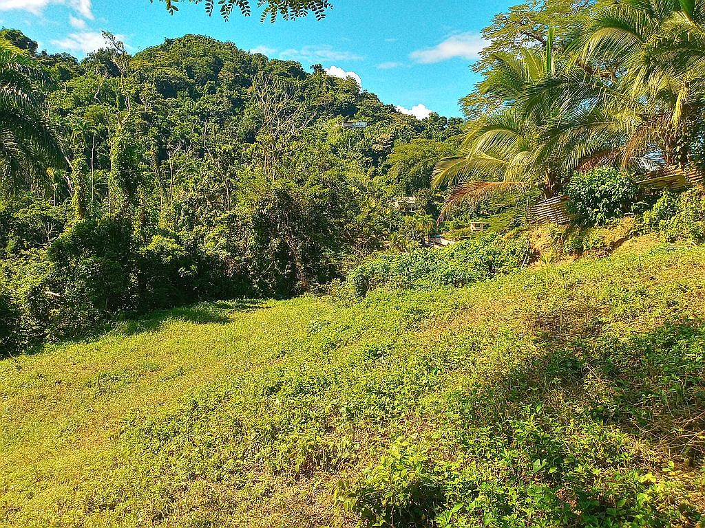 Barrio Mamey 1, Guaynabo, PR 00971 Zillow