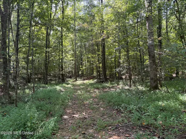 State Highway 41, Pontotoc, MS 38863