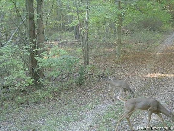 5th image of 8172 E Ash Road