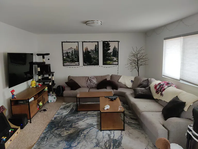 919 Kane Dr — Photo 4