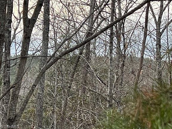 2nd image of Tony Holder Rd