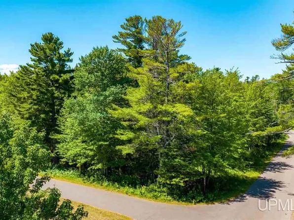 6th & Centre Street Lots 201 202 203 #&-204, Mohawk, MI 49950