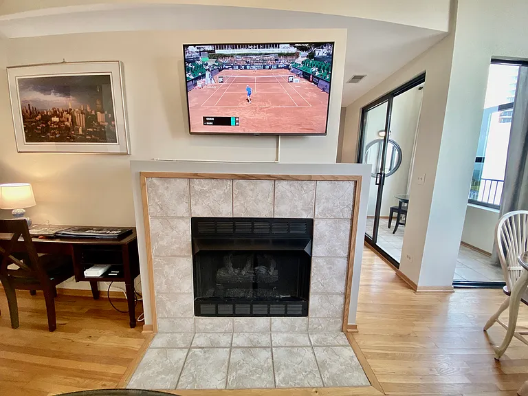 910 S Michigan Ave #1308 — Photo 12