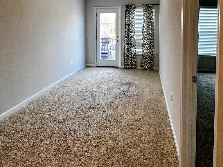 909 Robbie Jackson Ln — Photo 6