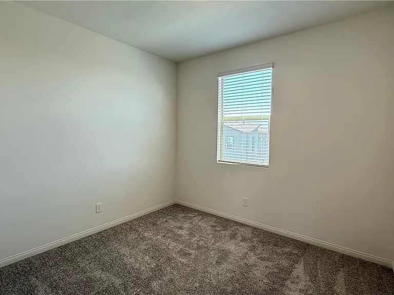 1513 Bat Hawk St — Photo 21