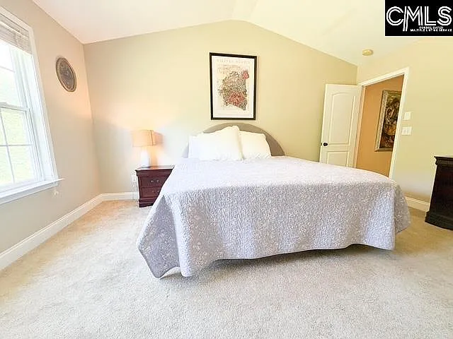 438 Woodbark Ct — Photo 11