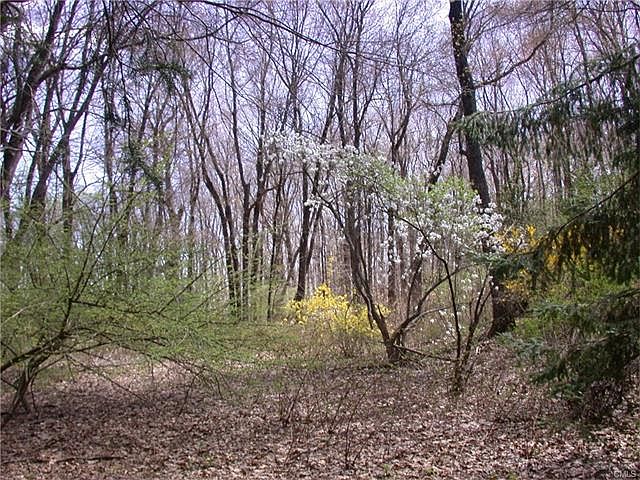 2nd image of 44 Graenest Ridge Rd
