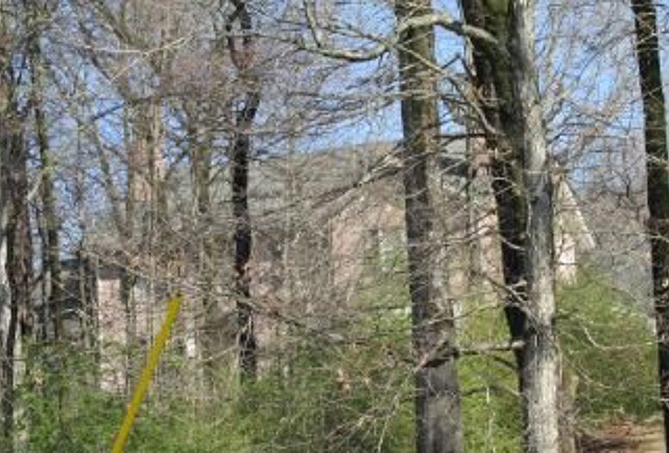 8191 Dogwood Rd, Germantown, TN 38139 Zillow