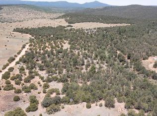 TRACT V B #1, Estancia, NM 87016