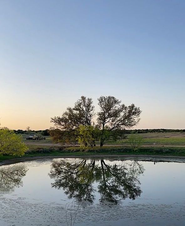 Pond / Front Entrance 
