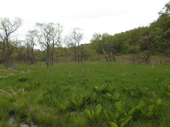 4th image of Route 136 Cribb Sta