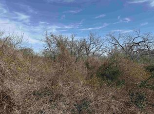 Lot 295 Pinemont Drive, Kingsland, TX 78639