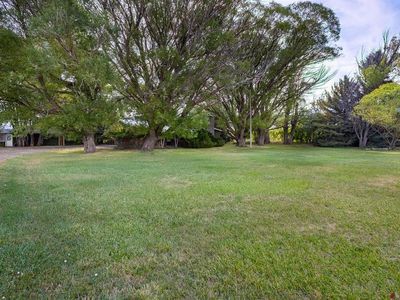 39983 Hayden Road, Paonia, CO, 81428