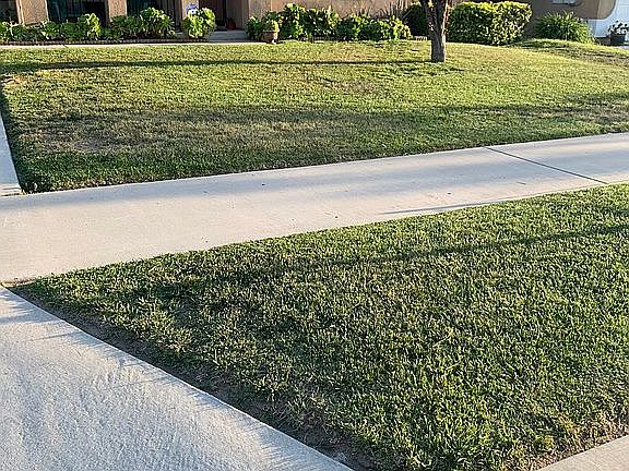 5th image of 1004 Lalania Ave