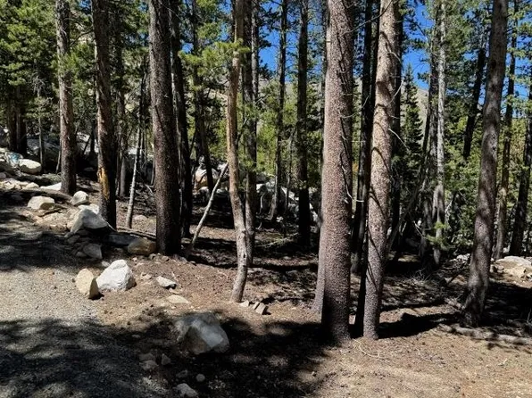 0 Lodgepole Dr, Bridgeport, CA 93517