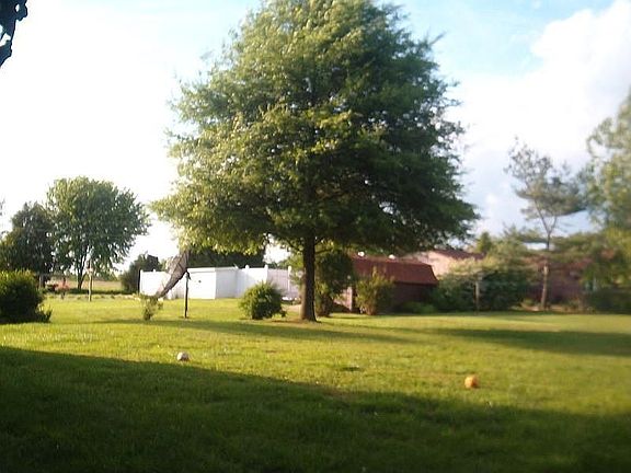 Back Yard (looking left from carport)