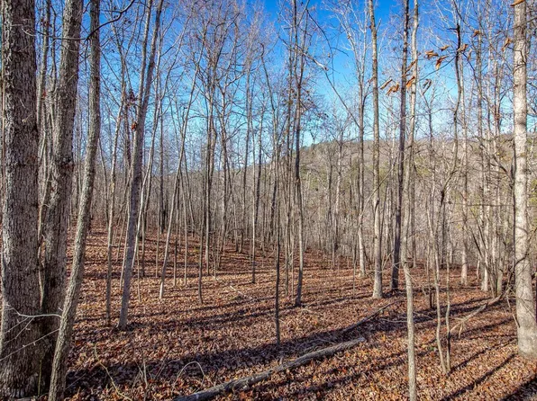 0 Peyton Mountain Rd, Dennard, AR 72629