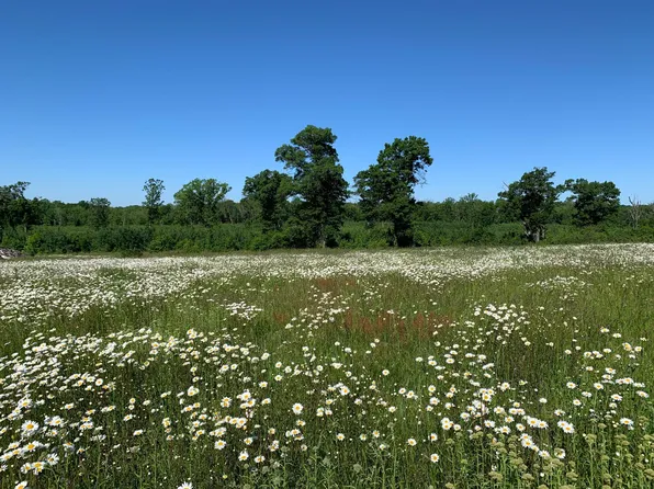 Xx 108th St SW, Motley, MN 56466