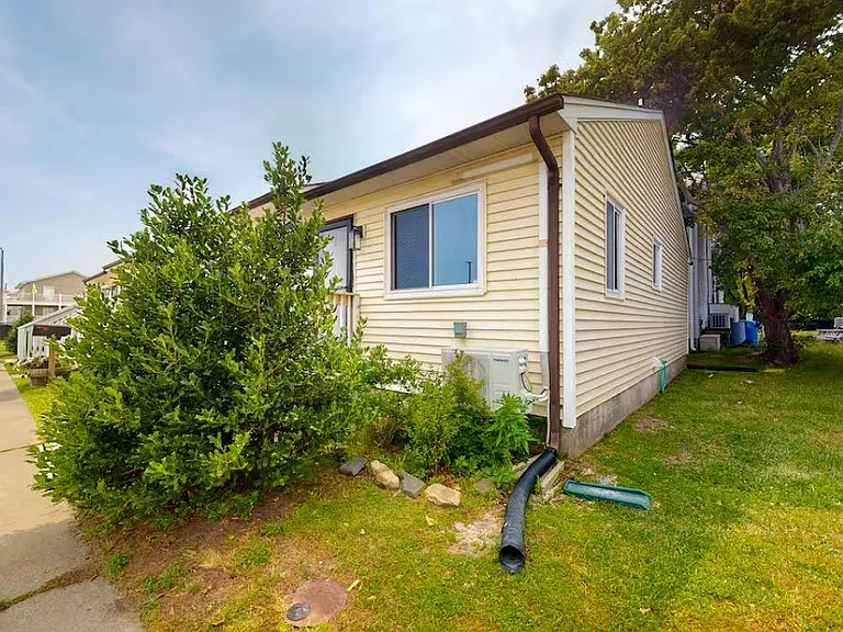 Grassy side yard