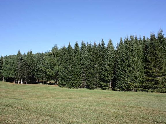 Former Christmas Tree Farm