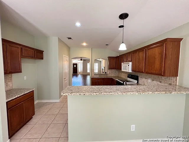1303 Bluff Frst — Photo 19