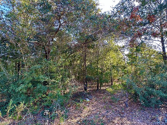 4th image of 3 W Cypress Ave