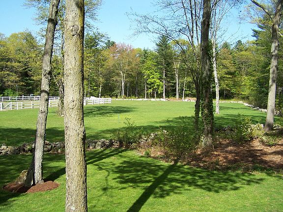 Pasture view