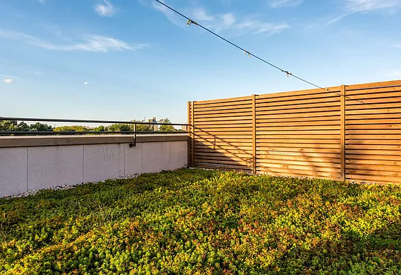 Rented by Nooklyn NYC LLC | media 57