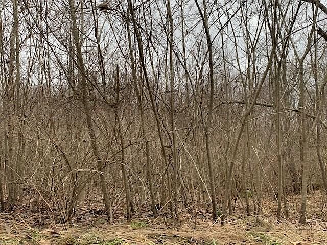 2nd image of 0 Rich Hill Rd