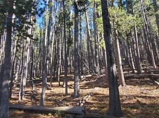 Lot 2682 & 2683 Purnell Lane LOT 2682,2683, Fort Garland, CO 81133