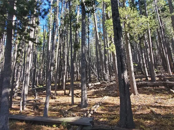 Lot 2682 & 2683 Purnell Lane LOT 2682,2683, Fort Garland, CO 81133