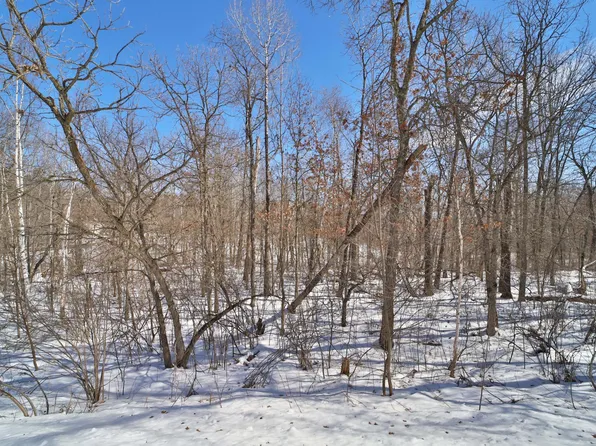 Tbd Percheron Dr, Pequot Lakes, MN 56472
