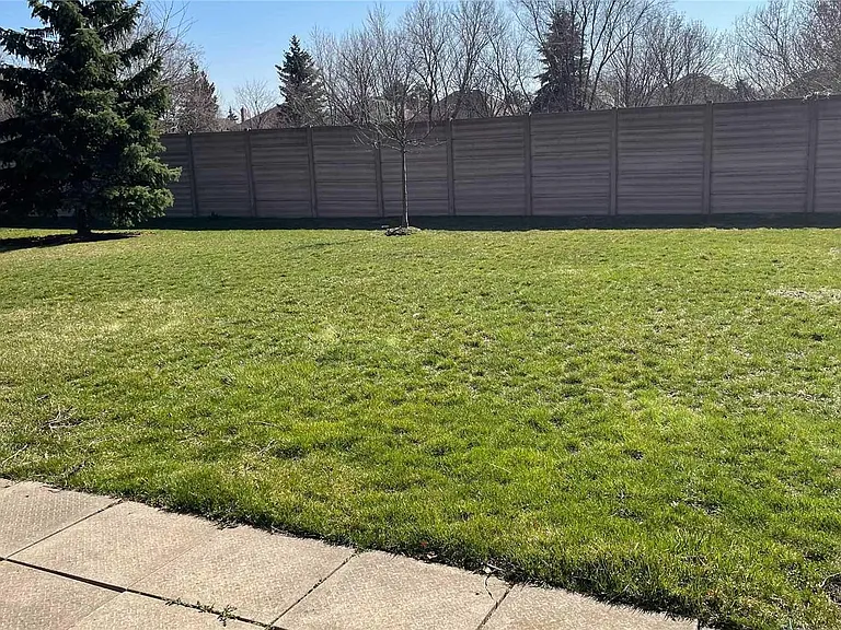 Backyard open space