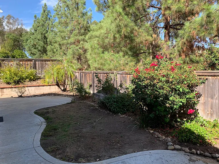 Back Yard / Patio