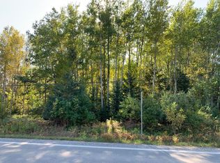 Long Rapids Rd, Alpena, MI 49707