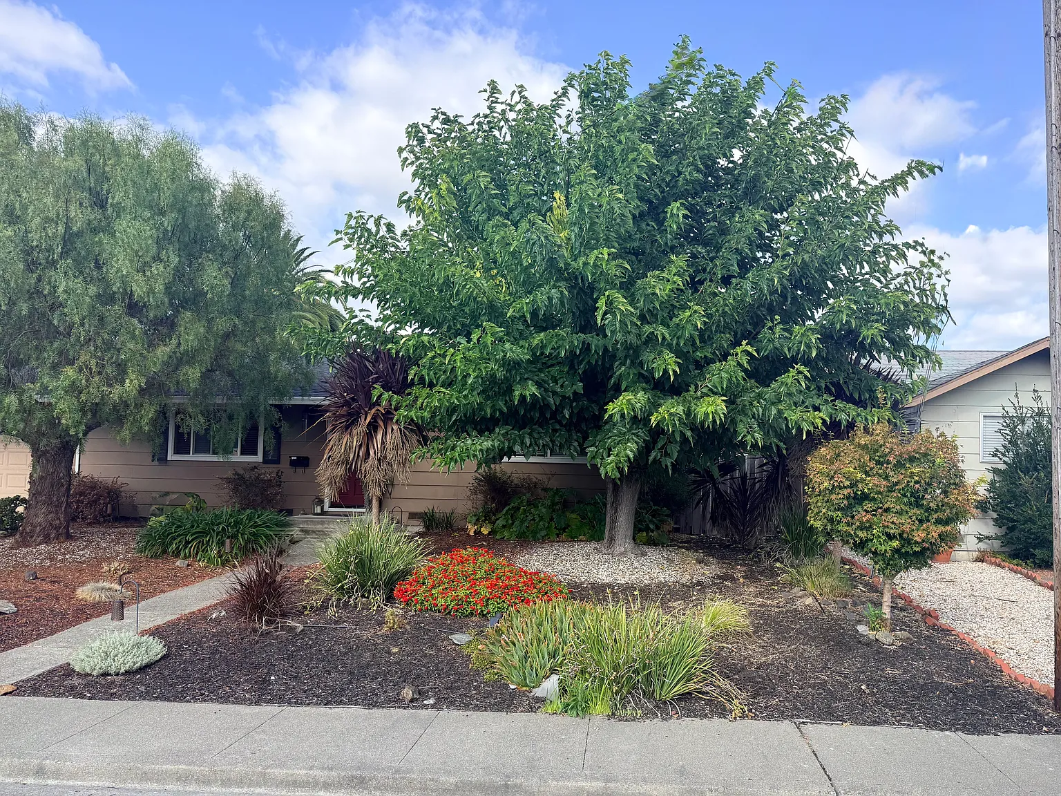Teresa Ct, Petaluma — Photo 2